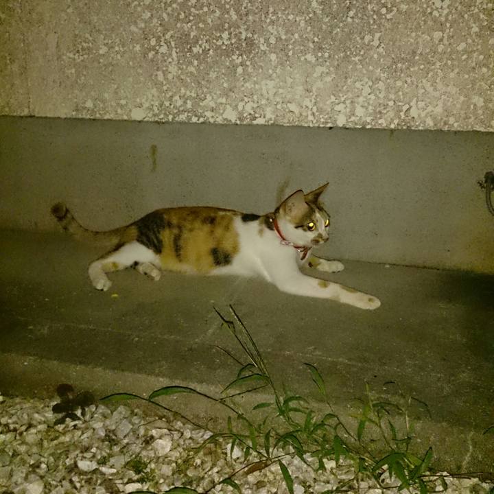 A03b7df0 116f 427e be1d 2558456f631a