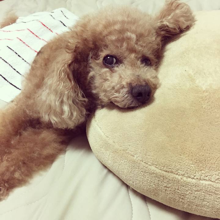 A03b89ab 1989 4ba8 8f22 052c632d84e6