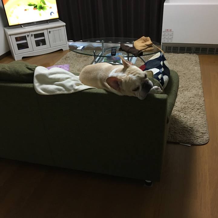 A03b949d c540 489c b310 b2cbbe61a098