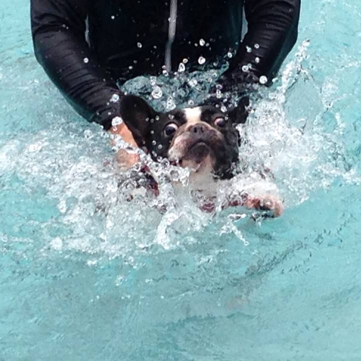 A03ba3c6 f9bc 4cce ae0b 987d15088295