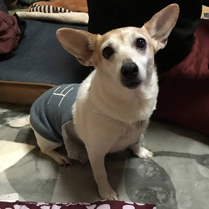 A03c079d 52e9 4723 bac8 30355ca19732