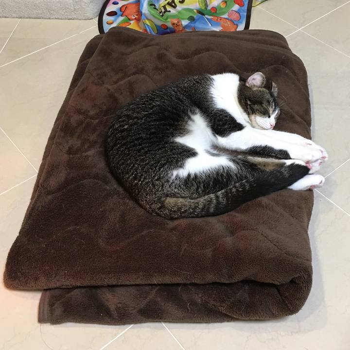 A03c0d5d 3403 4308 91c1 e1bc356e2399