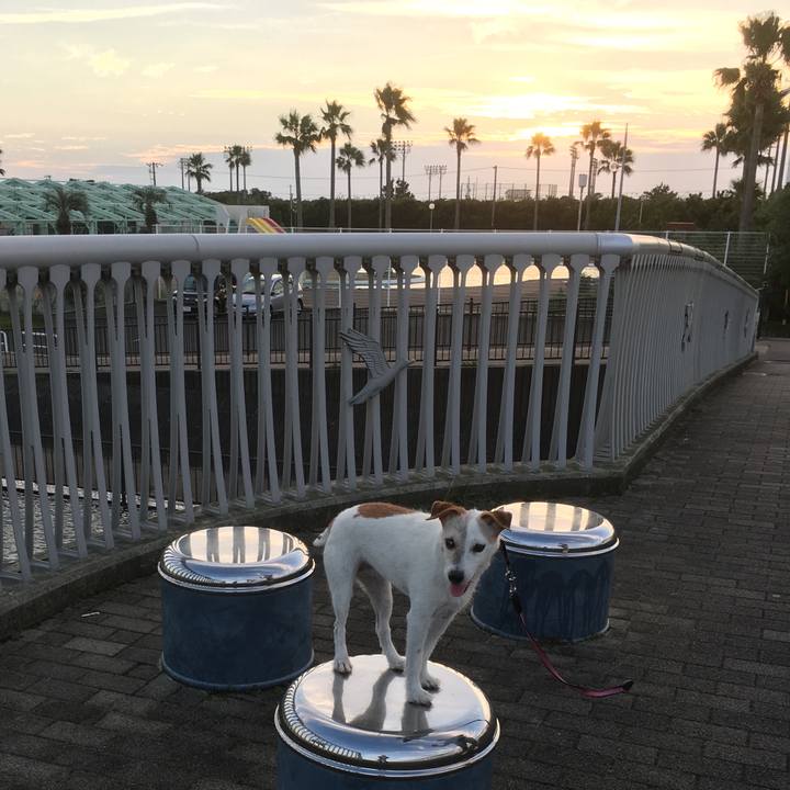 A03c64b3 04d4 4dbe b88b 726eae88b365