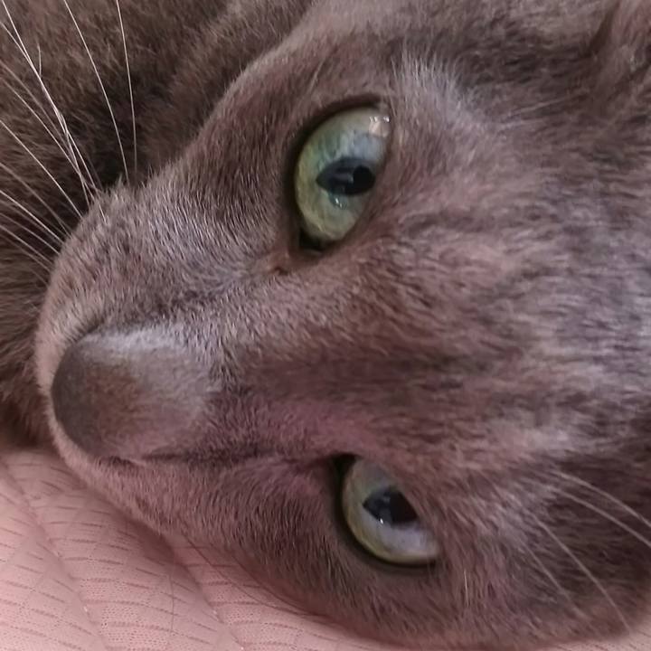 A03c72c4 beb0 425e 8f4e 5cce9c125ddc