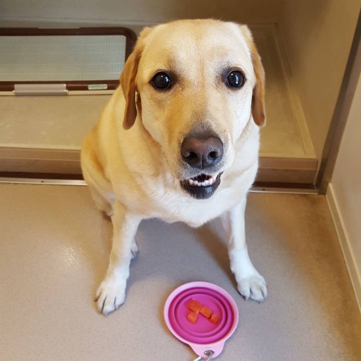 A03c87df 05cd 4699 8c44 71ee00827d4e