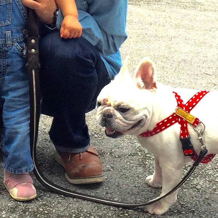 A03dafe7 b83a 49a1 9f20 790921f9d253