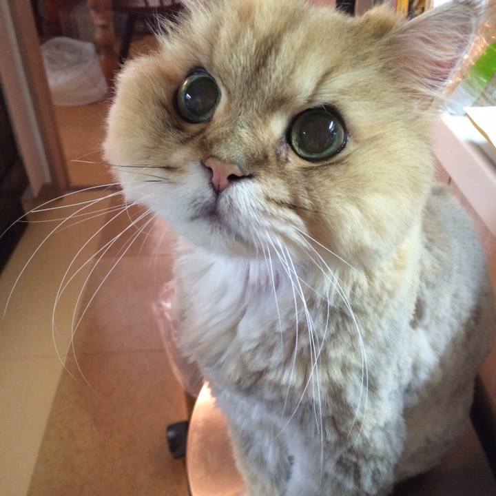 A03df9eb 763e 432e b29a 2d124607b490