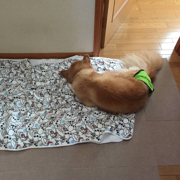 A03e456e 89e0 47cd 8199 1f65435e53a2