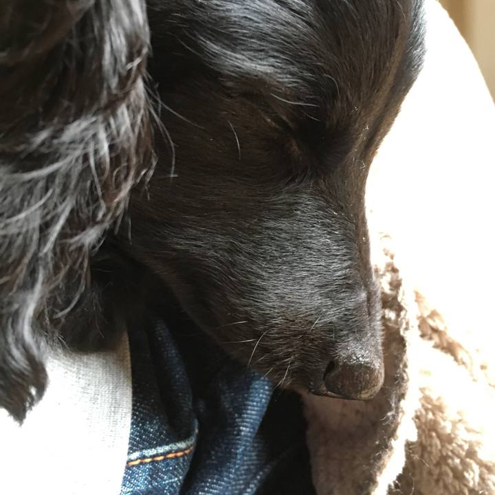 A03e8b09 6304 4962 94bf 1fd271945f89