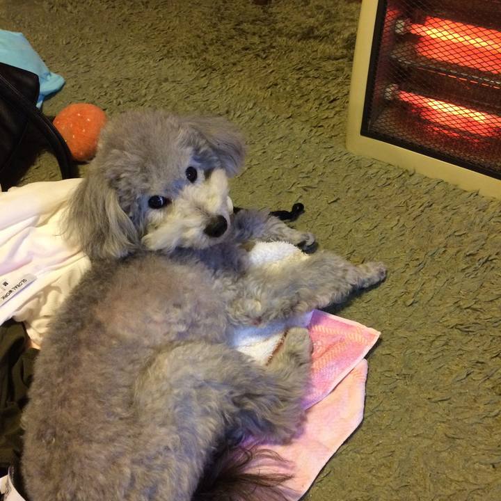 A03ea810 1939 4420 887b a2a7e3a7211c