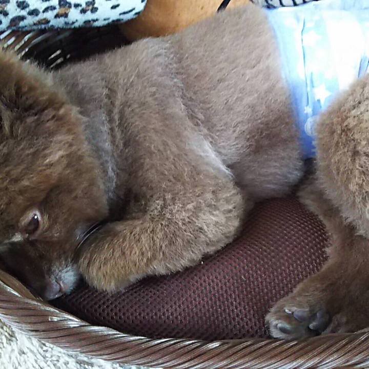 A03fa200 fd15 44db b606 b6bbe0ab7aa1