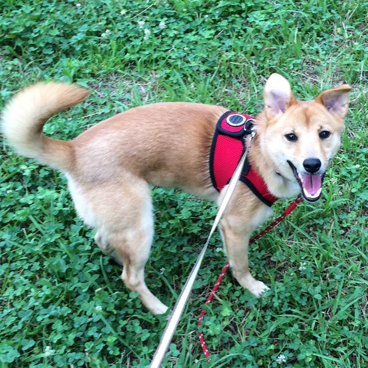 A03fb74e 48b7 4a8f 996a 4754a7b88d34