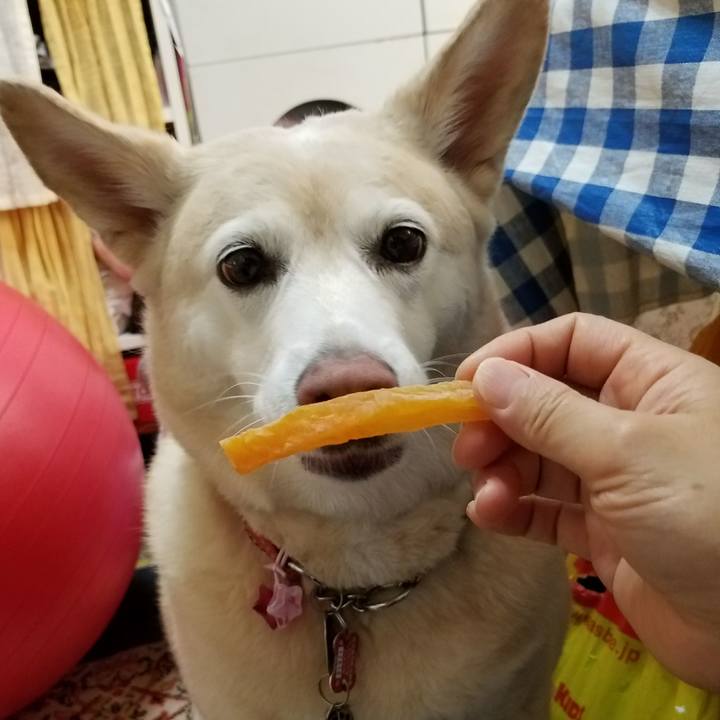 A03fe47c 8bd4 461a b128 55c6737d199f