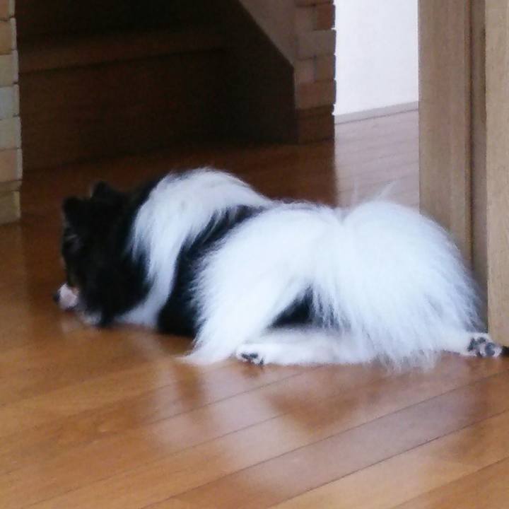 A040441c 27db 4c30 bdd9 b2e2d493c10c