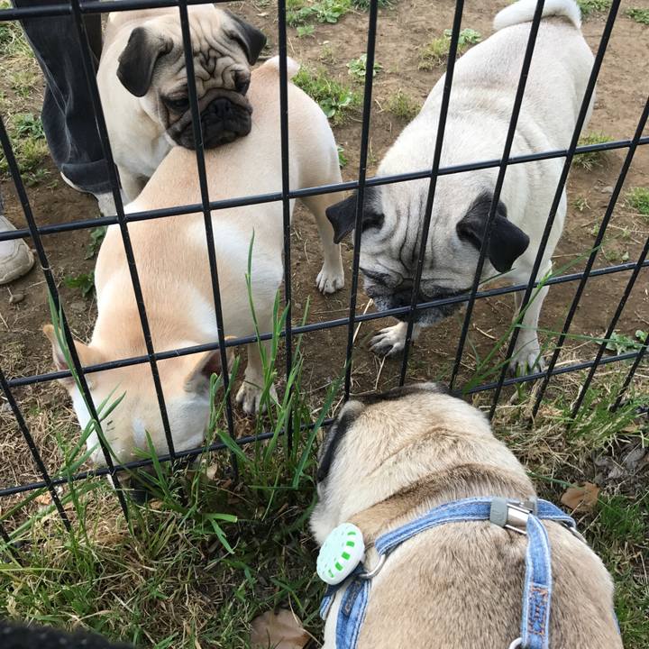 A040f5ce e7a8 4018 b371 584ccee1941b