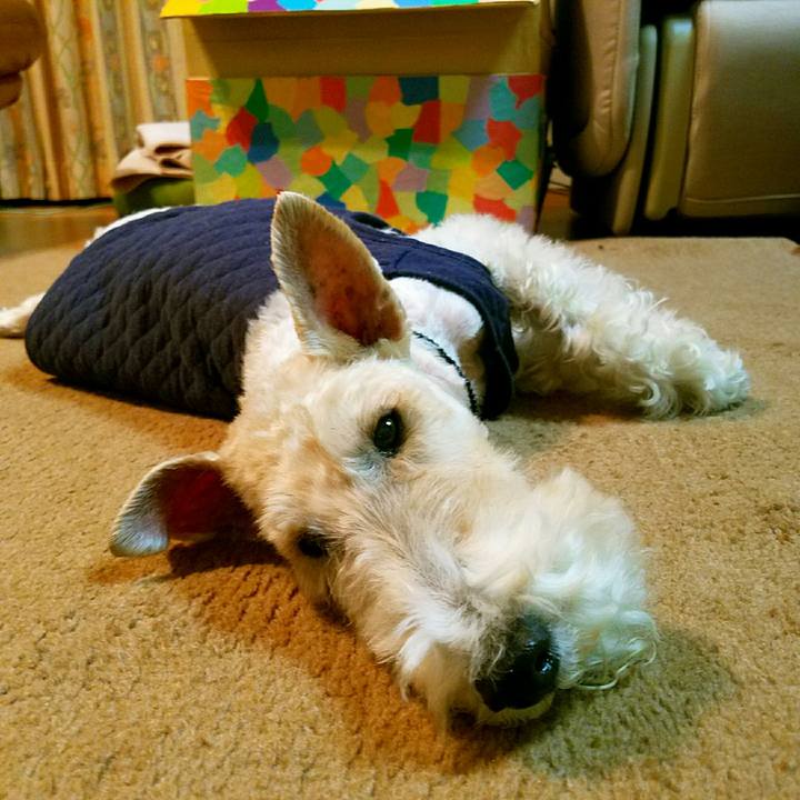 A041c180 c484 4d07 8ca2 a94b0c81cc18