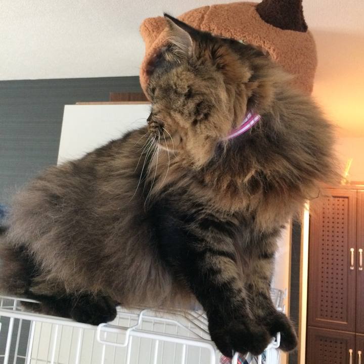 A041e8aa 20ee 48c4 a0ff 84dbfbae1286