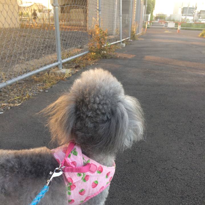 A04220cd 2db4 478d a06d 0be64815dc65