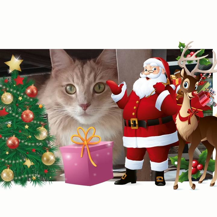 A0425631 cede 4522 9ed1 638e0083f376