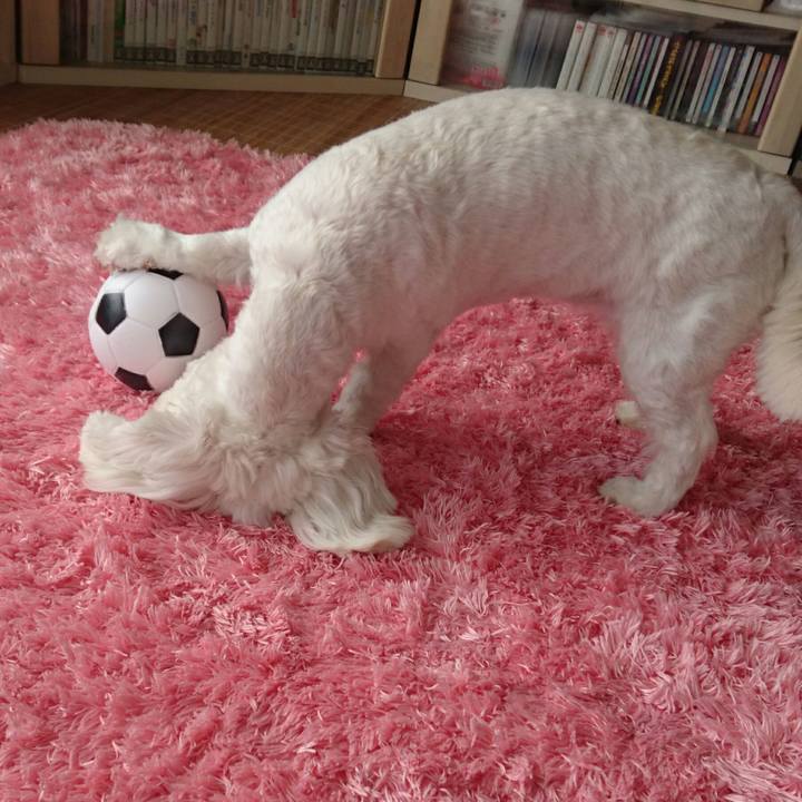 A0426c23 10b3 4934 9e69 334a56ccb30c