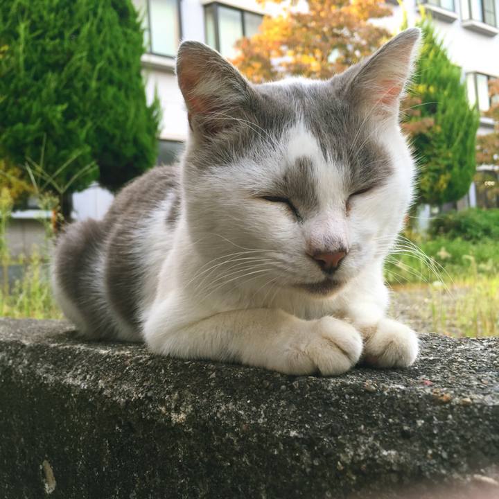 A0433fd7 ddc0 4191 a25d e399c972e4bf