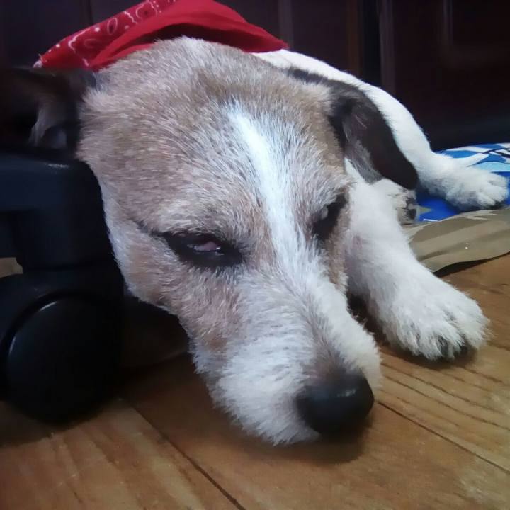 A043fc42 ad30 4994 afa7 d32c24e165f4