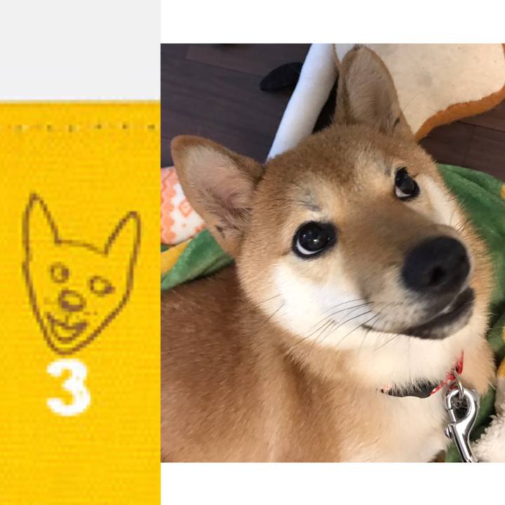 A04440b0 72c6 424d 9013 cda1610d9594