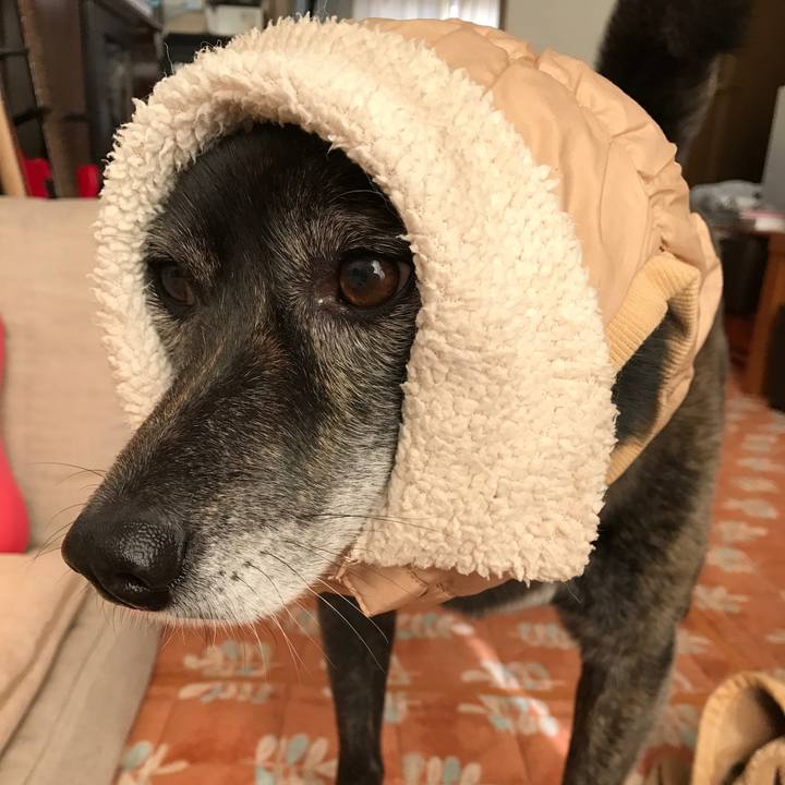 A044648e b193 44a2 8eaa a047ab095e6d