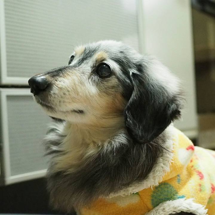 A0446631 ec11 42df 8975 d02991f951c3