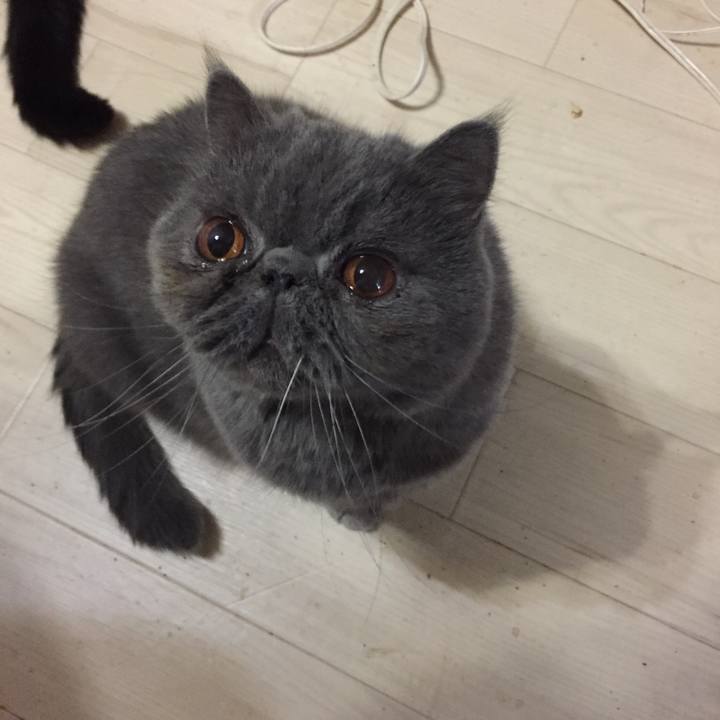 A044b708 295f 4058 aaa4 2ae7b5a66ce3