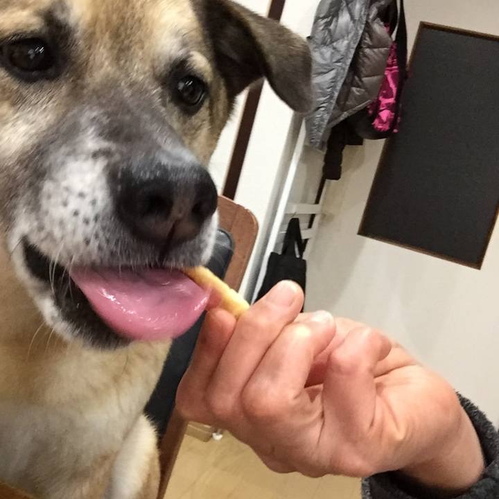 A044dc25 6d61 4d7b 8cf4 c0f4347c19d6