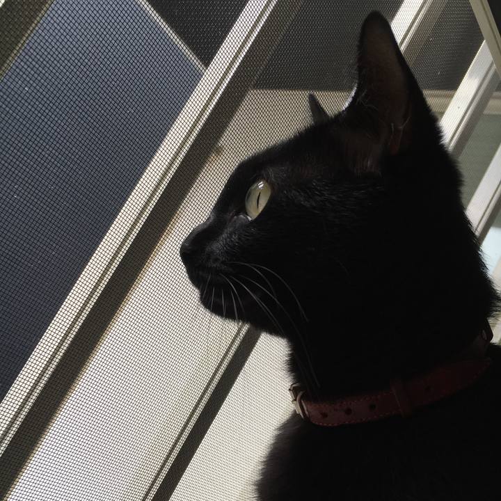 A0452256 6f2b 455f 8fe5 bae5144e51df