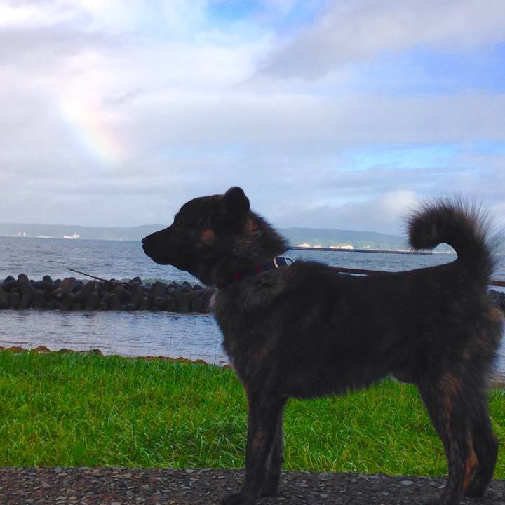 A045421b 4087 4df7 abed 73cd2a134b99