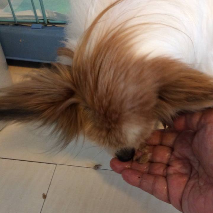 A0454e11 5d04 445c be59 476426bc1f93