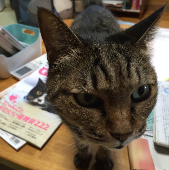 A045cad8 4db2 4113 bedd a79b6822f0f7