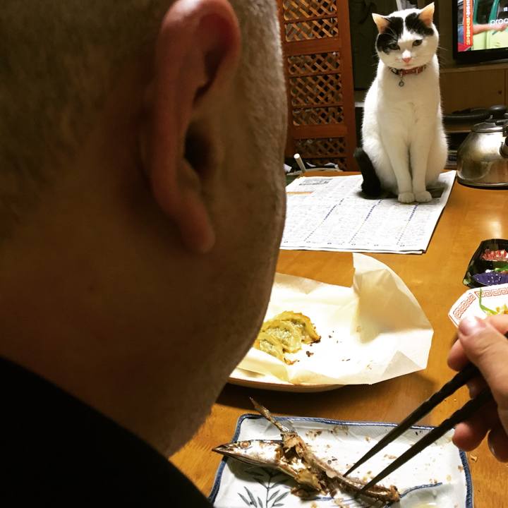 A045ef13 01cb 48c3 8884 e5330d6c84e0