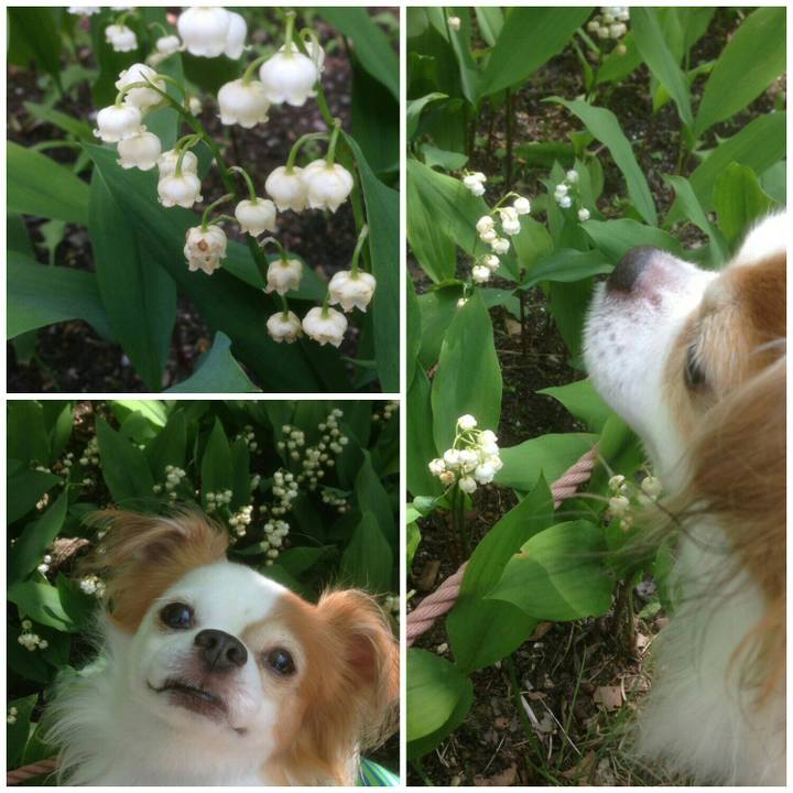 A04632b8 6b40 46cf 8bb0 3a08921b8a27