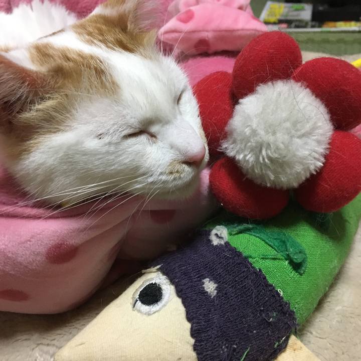 A046e98a 65b6 49c1 ba87 e4eeb22078fc