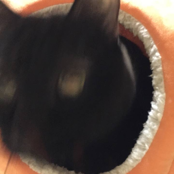 A0474e19 e13d 4bfa b406 81d8aa8d0c59