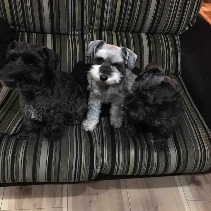 A047b044 3a46 443a a7e2 61c03823338a