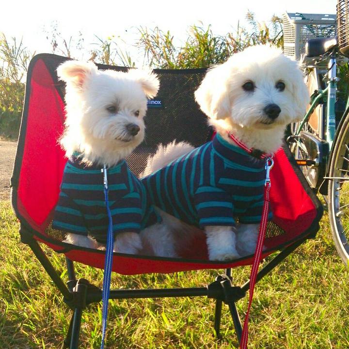 A047d7f4 a0b0 4d95 a3eb 7b46a81bd21c