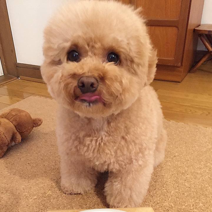 A047e7dc b421 4dea 9484 a3a887bff73f