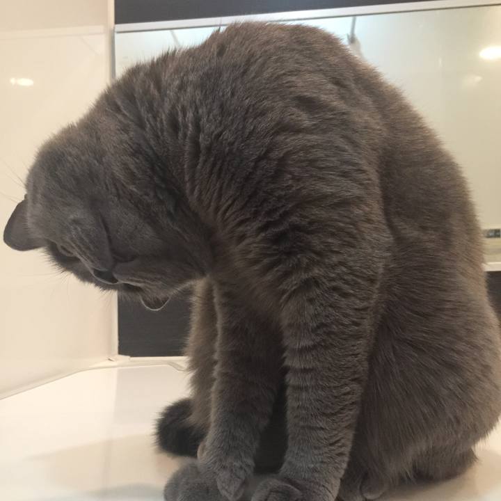 A048ac1c 088f 4ca2 b8a5 0c65e137c47f