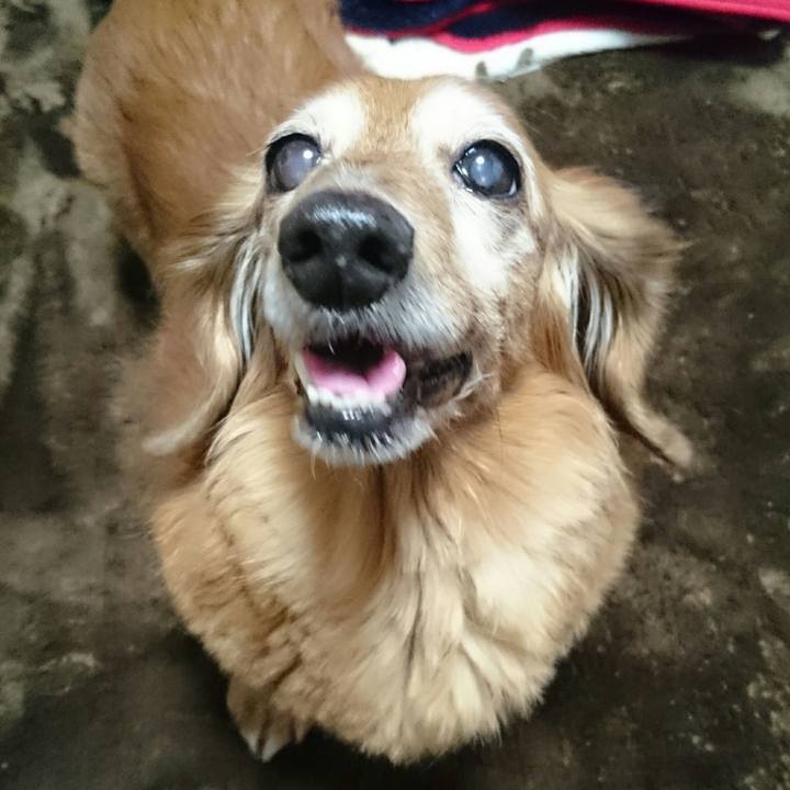 A0490e72 8c2f 4dfc a875 4d6b244c3711