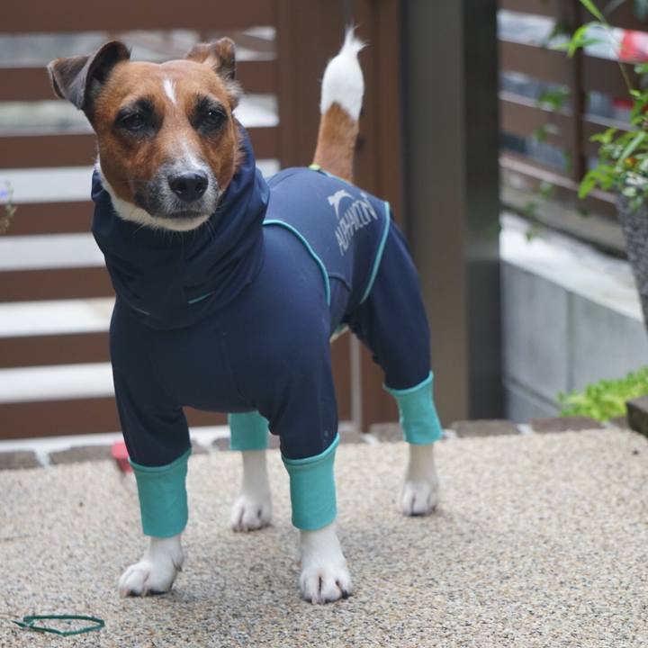 A04945ee 97c6 4461 a77f b3bf5e7c744e