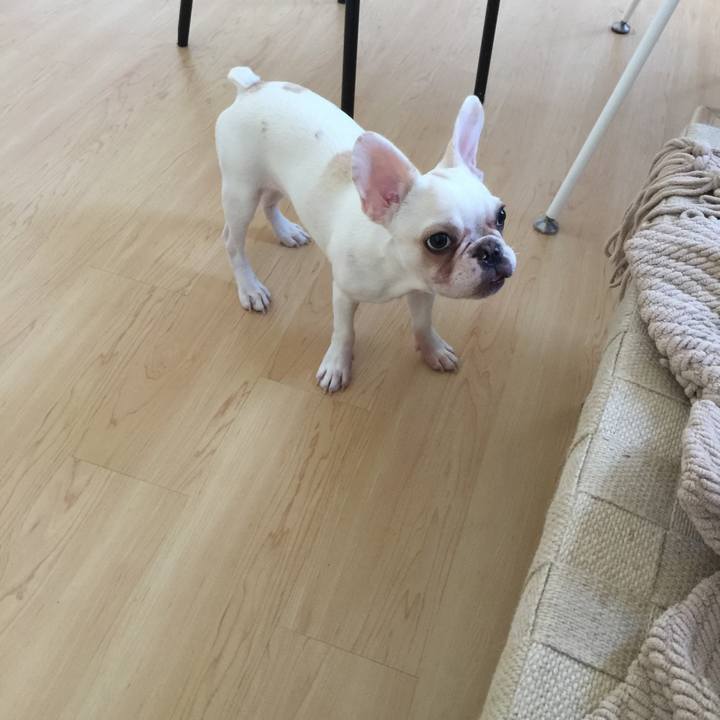 A04a546f eb54 4e36 bf9a 8568f5addac5