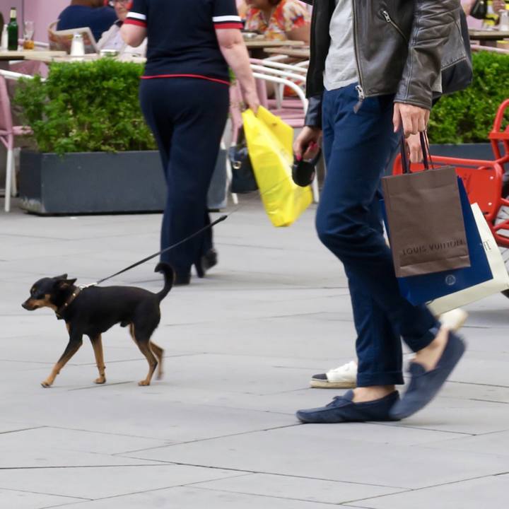 A04aca9e ead1 470d 81fc a03383d15ae8