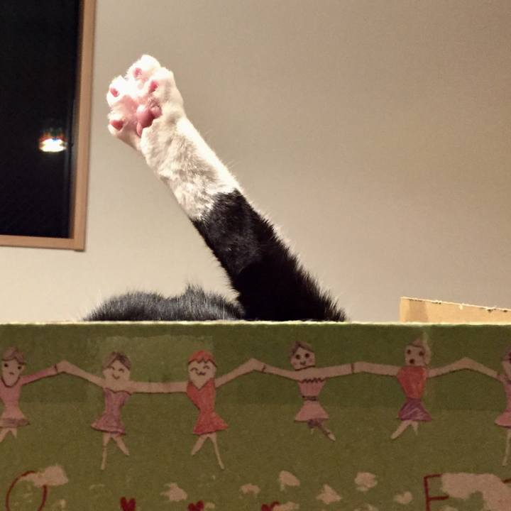 A04af14e 2bbd 42f0 9012 3dece69d1b3f