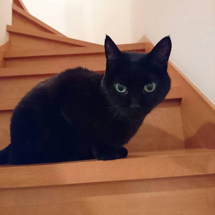 A04c2f81 d6b9 482e b89a 173ab1ecc5fb