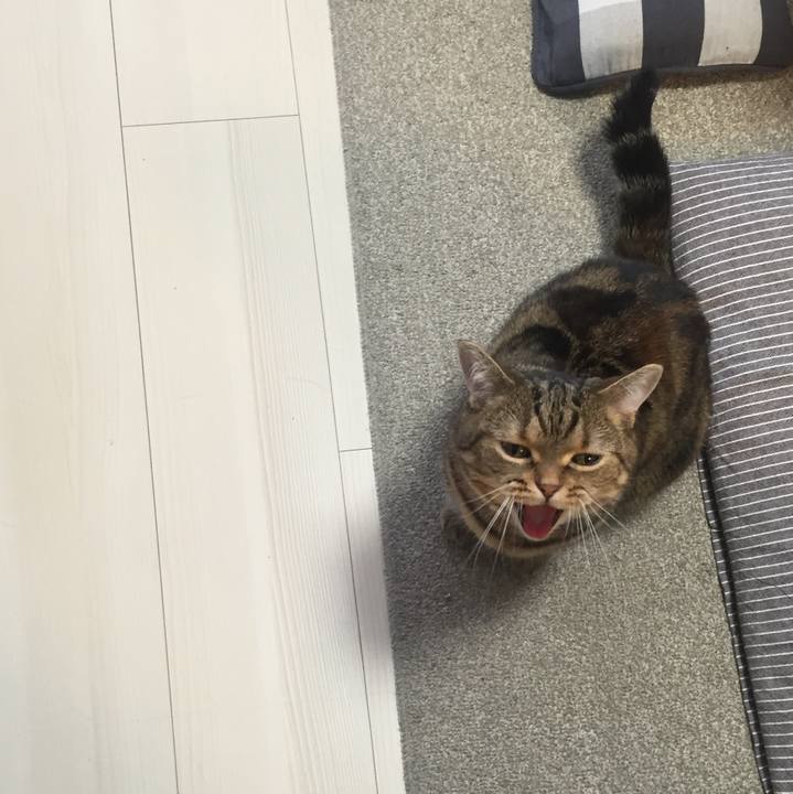 A04ced2f d7cf 4111 9b38 d29d9f45b639